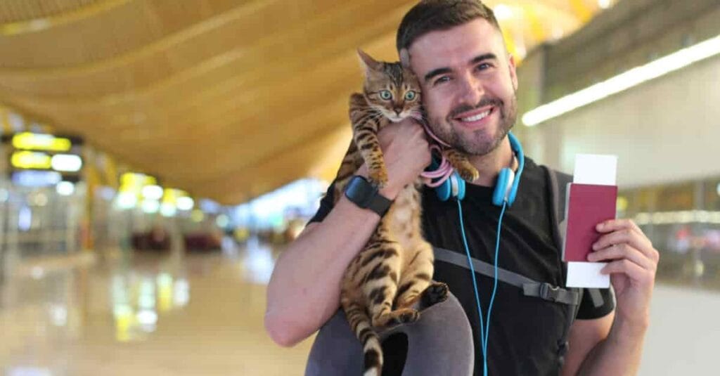 15 Conseils pour voyager en France avec son chat