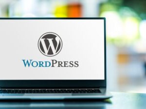 “The #1 Choice of Experts: Take Your WordPress Site to the Next Level.”